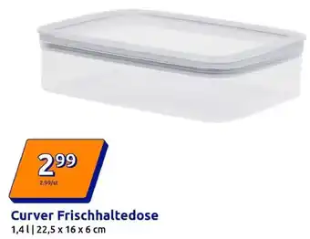 Action Curver Frischhaltedose Angebot