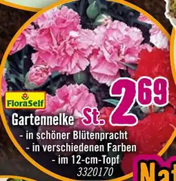 Hornbach Floraself gartennelke Angebot