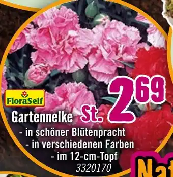 Hornbach Floraself gartennelke Angebot