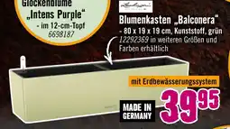 Hornbach Blumenkasten „balconera“ Angebot