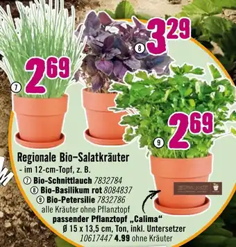 Hornbach Regionale bio-salatkräuter Angebot