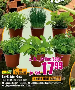 Hornbach Bio-kräuter-sets Angebot