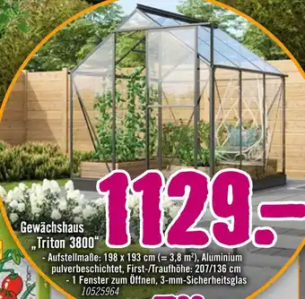 Hornbach Gewächshaus „triton 3800“ Angebot