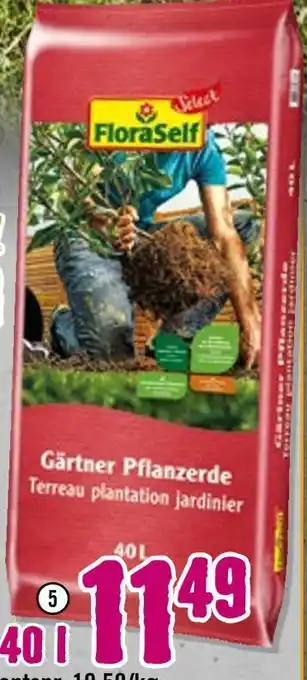 Hornbach Floraself gärtner pflanzerde Angebot