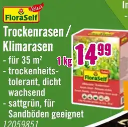 Hornbach Floraself trockenrasen / klimarasen Angebot