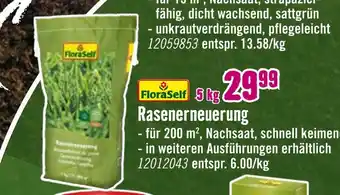 Hornbach Floraself rasenerneuerung Angebot