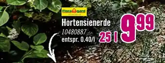 Hornbach Floragard hortensienerde Angebot