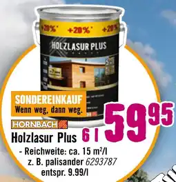 Hornbach Holzlasur plus Angebot