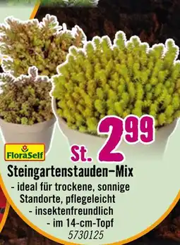 Hornbach Floraself steingartenstauden-mix Angebot