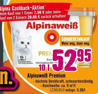 Hornbach Alpina alpinaweiß premium Angebot