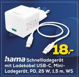 Euronics Hama schnellladegerät Angebot