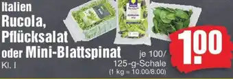 Edeka Italien Rucola, Pflücksalat oder Mini-Blattspinat Angebot