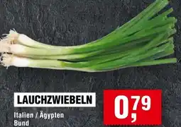 Handelshof LAUCHZWIEBELN Angebot