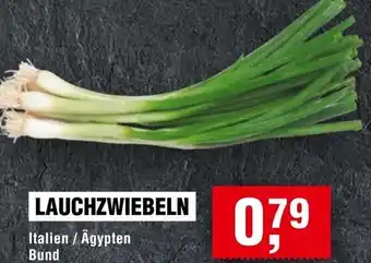 Handelshof LAUCHZWIEBELN Angebot