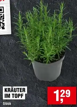 Handelshof KRÄUTER IM TOPF Angebot