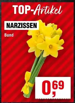 Handelshof NARZISSEN Angebot