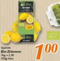 inkoop Spanien Bio-Zitronen Angebot