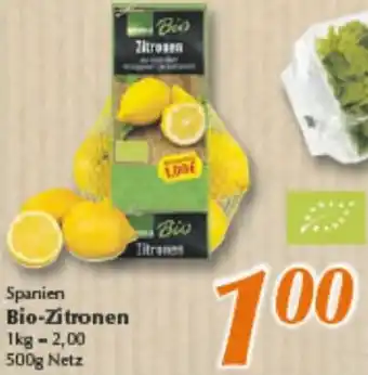 inkoop Spanien Bio-Zitronen Angebot