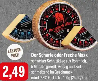 Feneberg Der Scharfe oder Freche Maxx Angebot