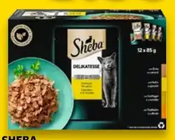 Kaufland Sheba Selection Angebot