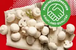 Kaufland Kulturchampignons Angebot