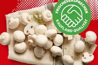 Kaufland Kulturchampignons Angebot