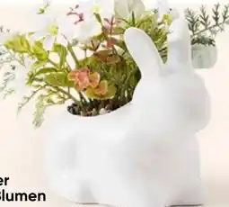 PEPCO Oster-Hase Angebot