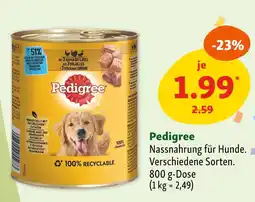 Fressnapf Pedigree Angebot