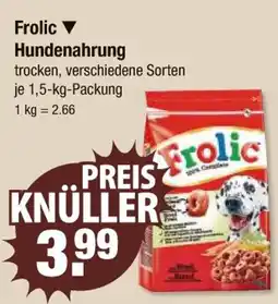 V Markt Frolic hundenahrung Angebot