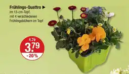 V Markt Frühlings-quattro Angebot