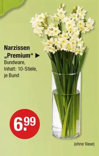 V Markt Narzissen premium Angebot