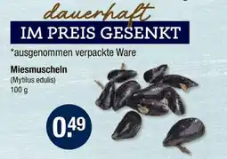 V Markt Miesmuscheln Angebot