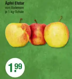 V Markt Äpfel elstar Angebot