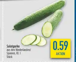 diska Salatgurke Angebot