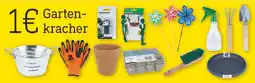 diska Gartenkracher Angebot