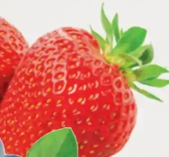 Edeka Struve Erdbeeren Angebot