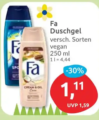 Budni Fa Duschgel Angebot