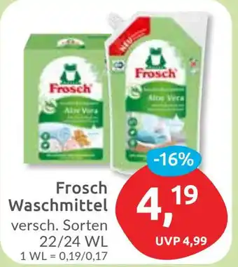 Budni Frosch Waschmittel Angebot