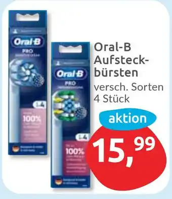 Budni Oral-B Aufsteckbürsten Angebot