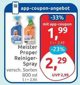 Budni Meister Proper Reiniger- Spray Angebot