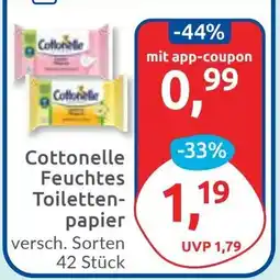 Budni Cottonelle Feuchtes Toilettenpapier Angebot