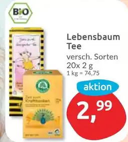 Budni Lebensbaum Tee Angebot