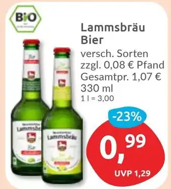 Budni Lammsbräu Bier Angebot