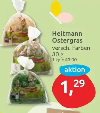 Budni Heitmann Ostergras Angebot