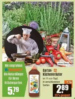 V Baumarkt Garten- Küchenkräuter Angebot