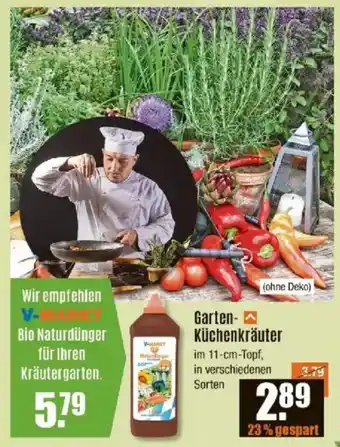 V Baumarkt Garten- Küchenkräuter Angebot