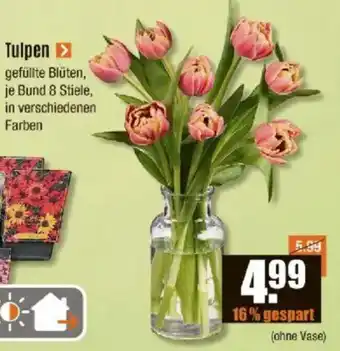 V Baumarkt Tulpen Angebot