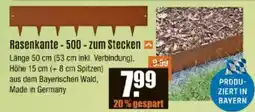 V Baumarkt Rasenkante - 500 - zum Stecken Angebot