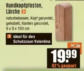 V Baumarkt Rundkopfpfosten, Lärche Angebot