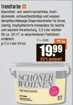 V Baumarkt SCHÖNER WOHNEN Trendfarbe Angebot